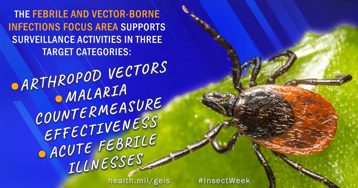 AFHSDPAGE's tweet image. AFHSD’s Febrile and Vector-Borne Infections #surveillance program studies mosquitoes, fleas, and other insects that transmit diseases to our military populations. Learn the details about this important work during Insect Awareness Week, June 24-30, 2024. #InsectWeek #GEIS