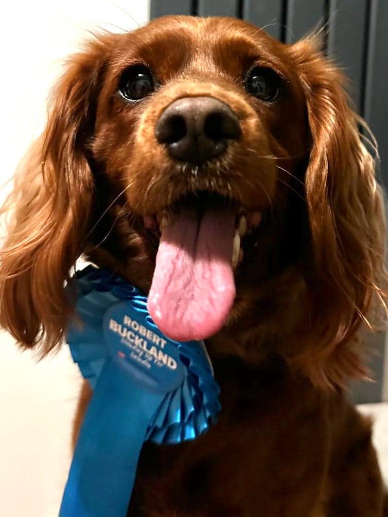 RobertBuckland's tweet photo. Maggie believes that the best way to guarantee our peace is through security and strong defence. She is a strong Tory. #VoteConservative #StrongDefence #Security #Stability #EconomicGrowth https://t.co/lwE10vo9QC