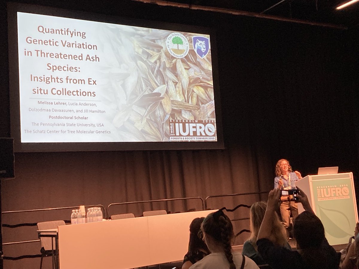 Prof Richard Buggs (@rjabuggs) on Twitter photo Nice talk on seed collection and ex situ conservation of Fraxinus nigra by β¦<a href="/malehrer49/">Melissa Lehrer</a>β© #iufro2024 Nice talk on seed collection and ex situ conservation of Fraxinus nigra by β¦<a href="/malehrer49/">Melissa Lehrer</a>β© #iufro2024