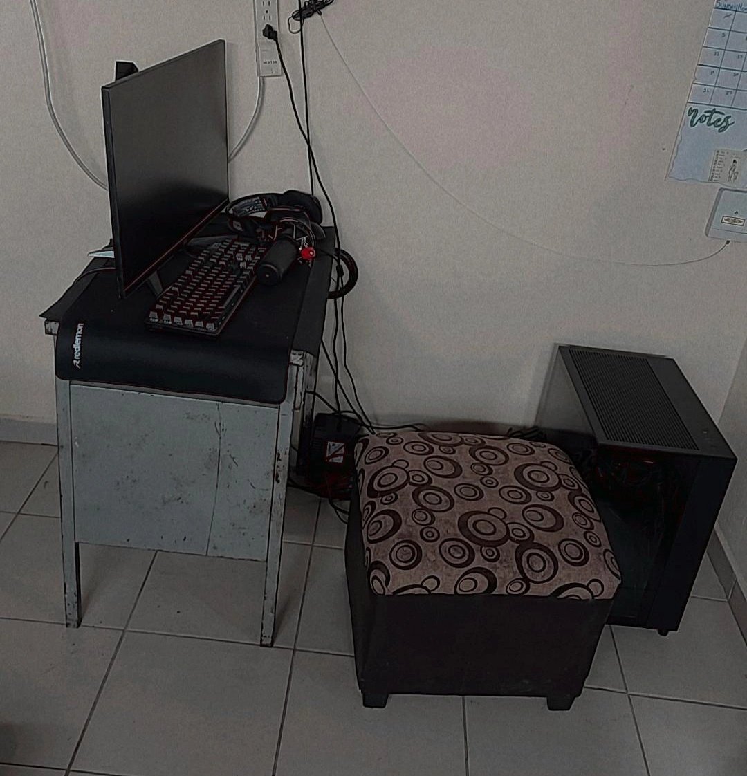 Chico🥑 tweet media