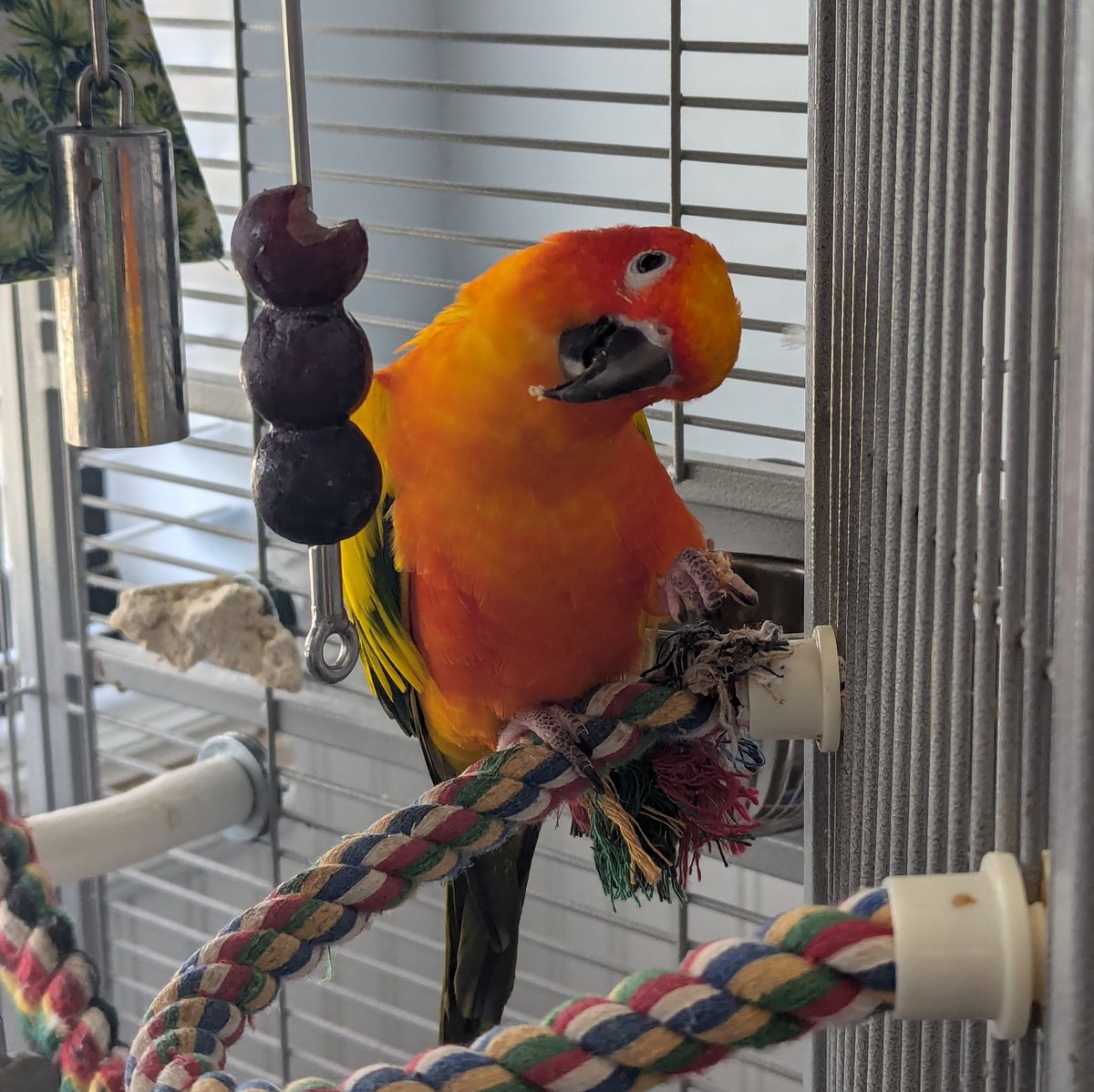 itoly256's tweet photo. I present to you:
Skittles https://t.co/Bmj36D8YPx