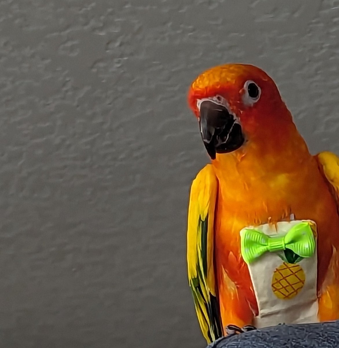 itoly256's tweet photo. I present to you:
Skittles https://t.co/Bmj36D8YPx