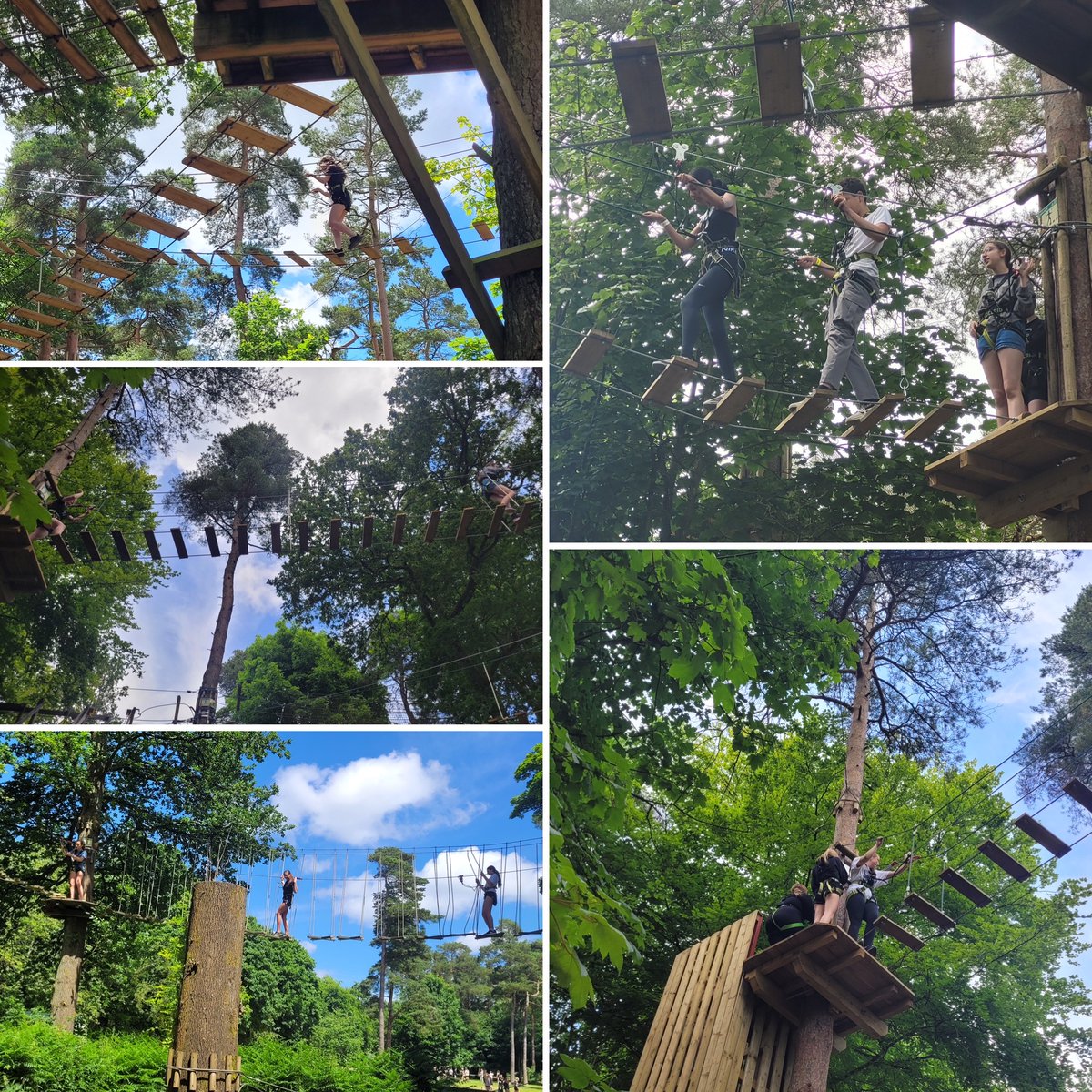 Roundwood_Park's tweet photo. E Week: We went Ape! It was an absolutely beautiful day today as our Y8 &amp; 10 students (and some staff too!) braved the high ropes at Wendover Woods. Another brilliant day 🤩
#rpseweek #GOAPE https://t.co/QTmehwhchU