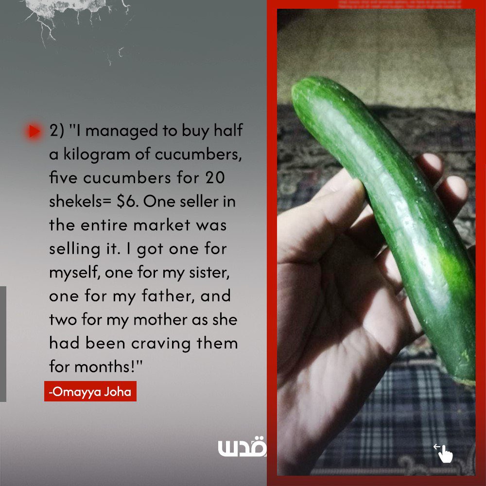 DmodosCutter's tweet photo. Through their online posts, Palestinians in Gaza reflect the severe crisis in the Strip amidst the ongoing Israeli genocide, exacerbated by starvation so severe that some are forced to eat tree leaves.
#Northern_Gaza_is_starving #OpenTheBorders4Aid https://t.co/Pit4jFMePG