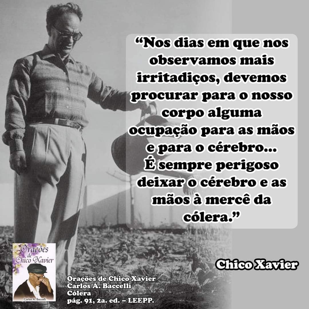 AngeloFerreiraO tweet picture