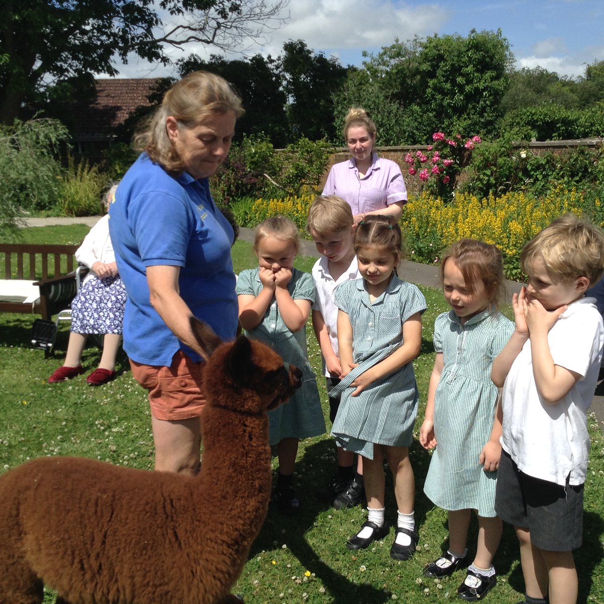 A very last minute afternoon activity for some of Year 1, who were lucky enough to visit Wrenn House and meet a baby alpaca! The alpaca was there as part of a birthday celebration for one of the residents.

#alpaca #wrennhouse #happybirthday