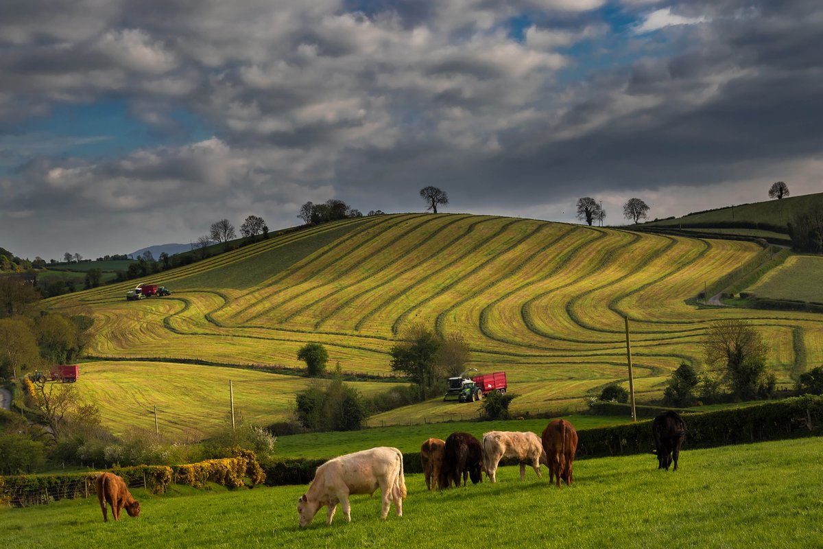 What policy approaches and levers can be used to improve the capacity of European permanent
grasslands to deliver a range of ecosystem services? Find out here: ow.ly/BQVP50Sp1FG