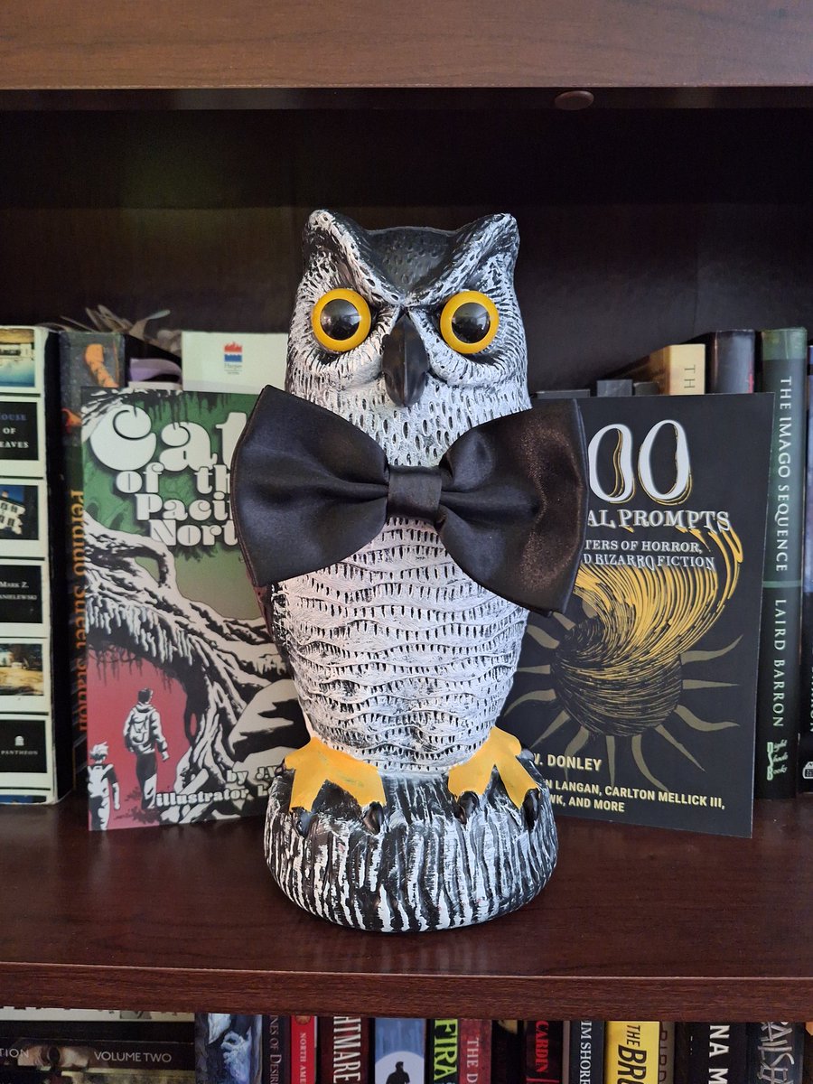 DarkForestPub's tweet photo. Donald is feeling "who-tiful" and ready to meet all of you at the @ChuckanutWriter Conference tomorrow!

#chuckanutwritersconference #bowtie https://t.co/37TvKV6LPY