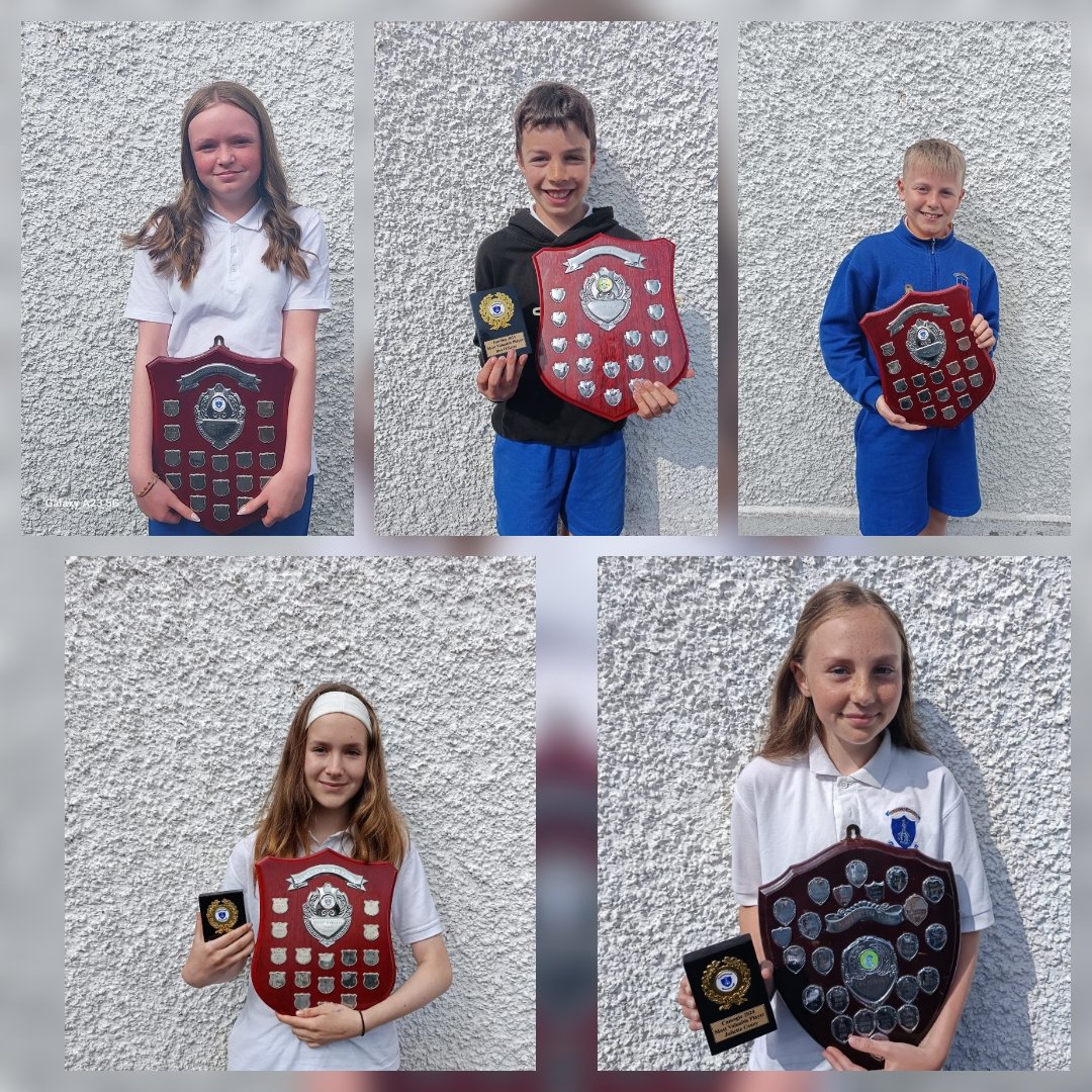 Our Lady of The Wayside tweet media