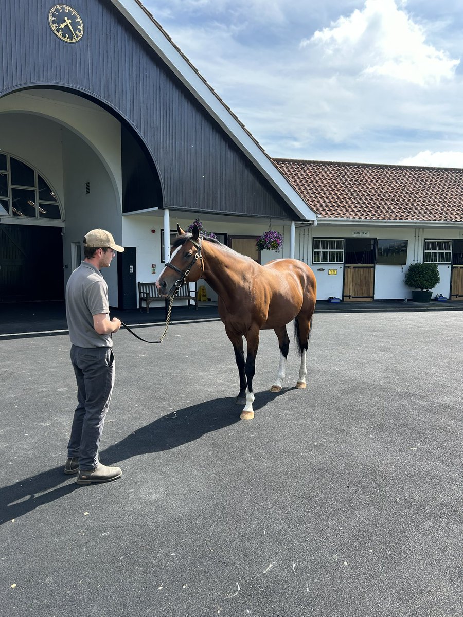We concluded our trilogy of trips learning about the horse racing industry with a trip to the National Stud and Newmarket racecourse for a day at the races. Thanks to <a href="/RacingtoSchool/">Racing to School</a> for this super opportunity.