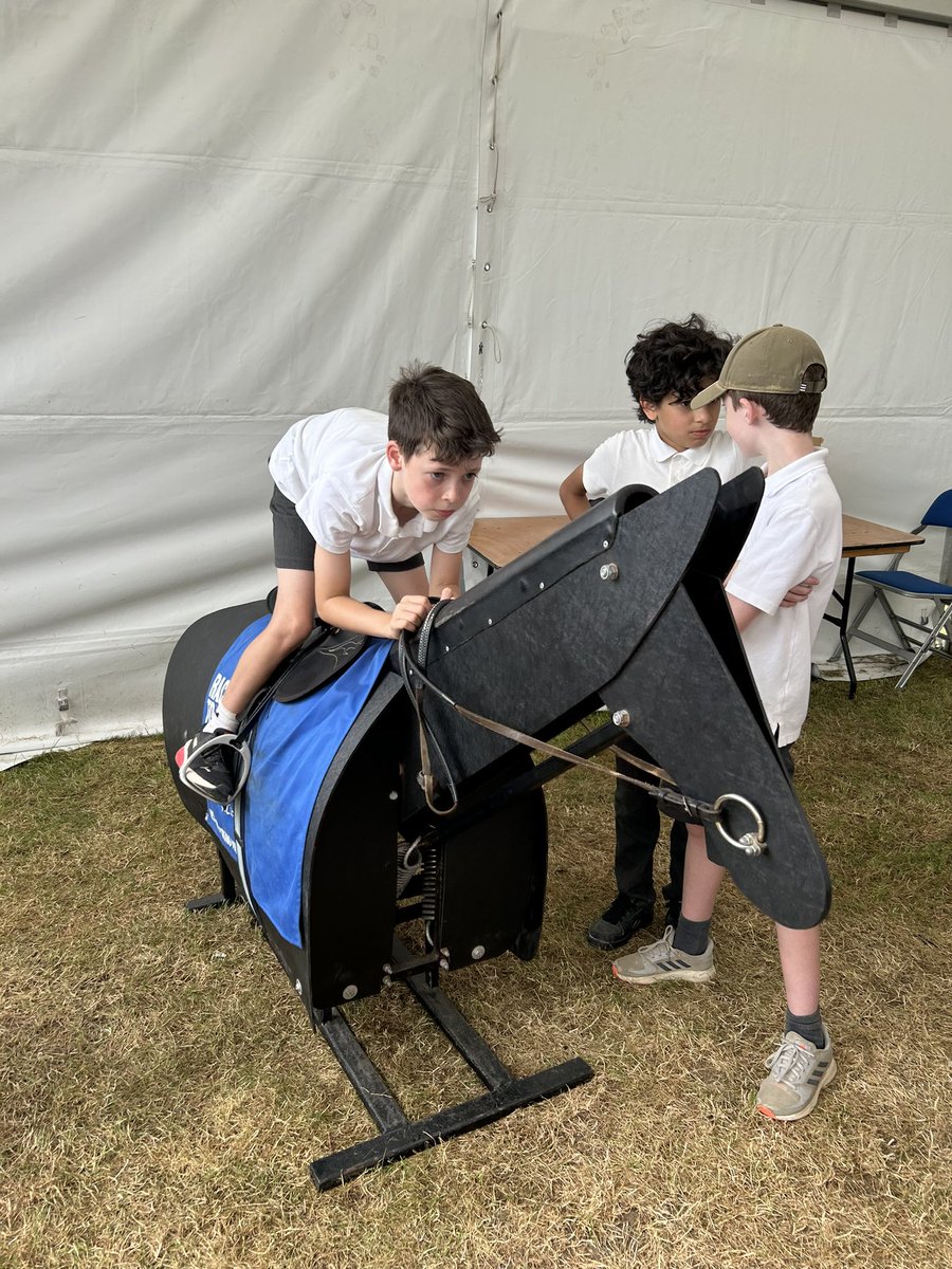 Kettlefields Primary tweet media