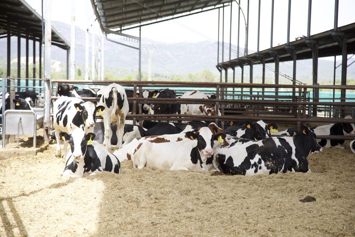 La empresa <a href="/danone_es/">Danone España</a> presenta en su #granja de Bétera que suministra a la planta de Aldaya la hoja de ruta para seguir liderando el futuro del #yogur cada vez más saludable y sostenible

agronewscomunitatvalenciana.com/danone-present…