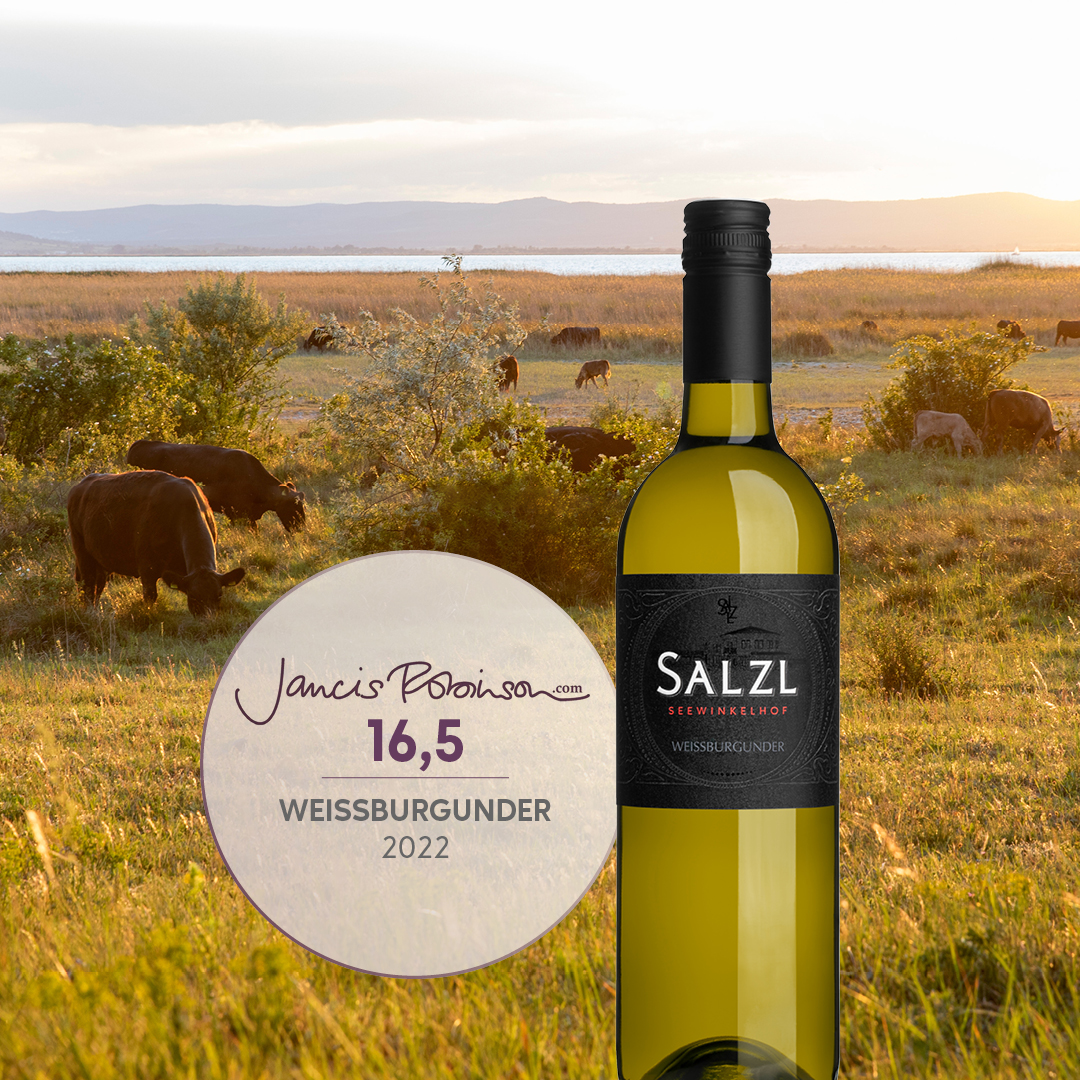 Julia Harding MW did a deep dive into Neusiedlersee DAC on JancisRobinson.com, featuring our 🇦🇹 agency Weingut Salzl &amp; the scored very well!

FIGARO ALTE REBEN GRUNER VELTLINER – 17 points
WEISSBURGUNDER – 16.5 points
ZWEIGELT SELECTION NEUSIEDLERSEE DAC 2021 – 17 points