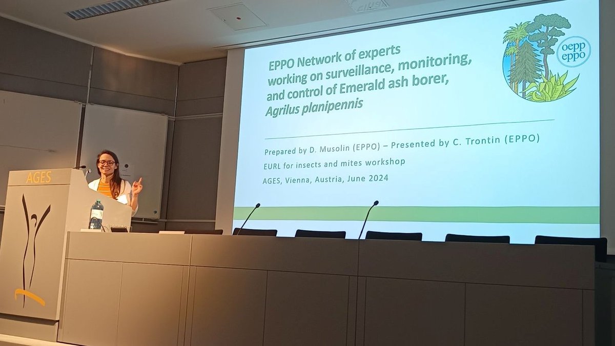 EPPOnews's tweet photo. The EPPO network of experts working on Agrilus planipennis and some of the EPPO activities in Entomology were presented by Ms Trontin at the 5th workshop of the EURL on insects &amp; mites. 
Thank you for the interesting discussions and the fruitful collaboration.
#planthealth https://t.co/w14ogE5KzF