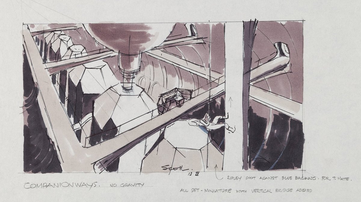 The Spaceshipper 🚀 tweet media