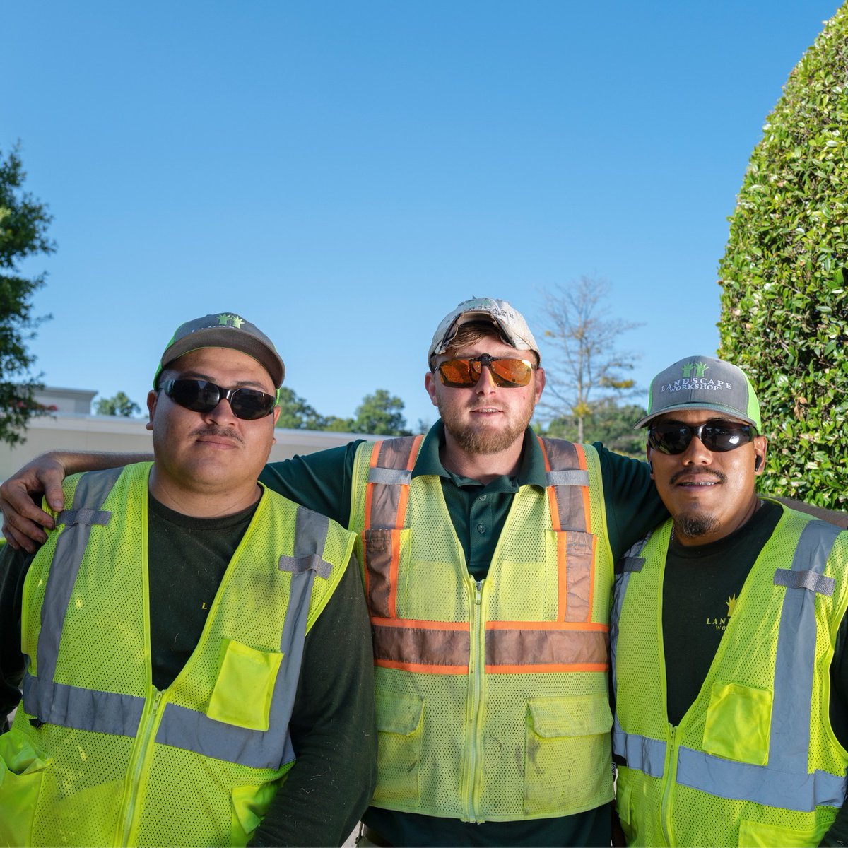 Landscape Workshop tweet media