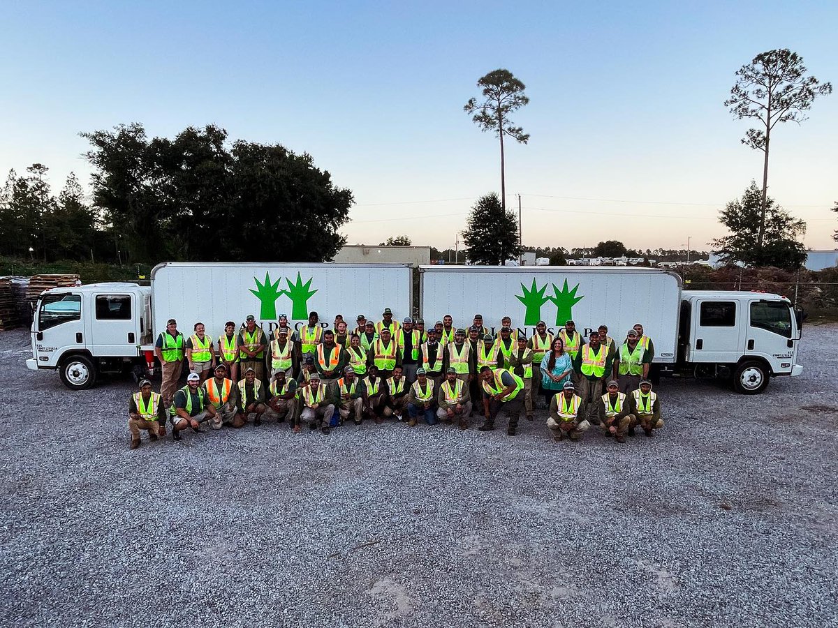 Landscape Workshop tweet media