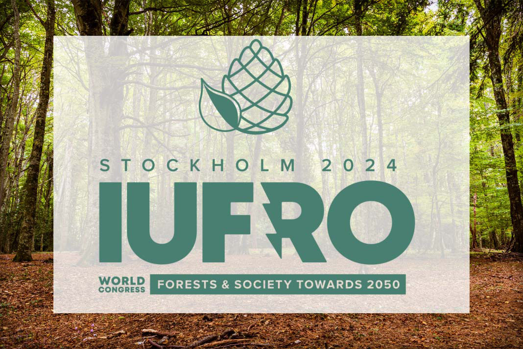FORGENIUS_EU's tweet photo. 📢If you are at #IUFRO2024 don't miss tomorrow's session "Multi-disciplinary approaches to the modelling of FGR resilience"⏰8:30!
Built around #FORGENIUS’ themes, the keynote speaker is Merry Schuman, expert in links between #remotesensing and patterns of genetic diversity! https://t.co/RC0Sv3iFmU