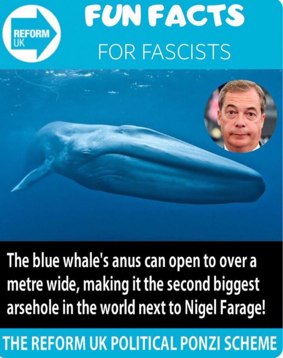 TonyTonynewone's tweet image. #NeverReform