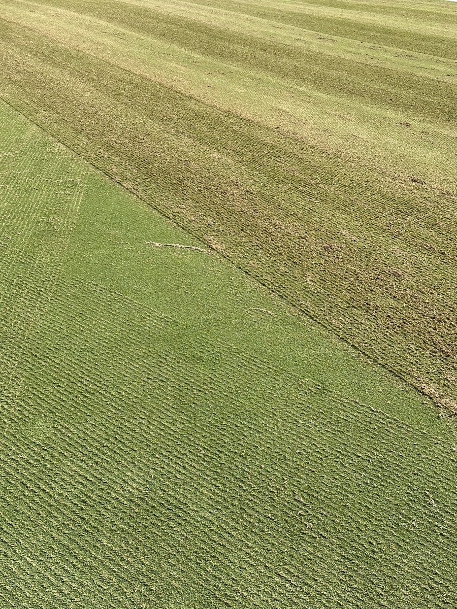 Robert Bailey tweet media