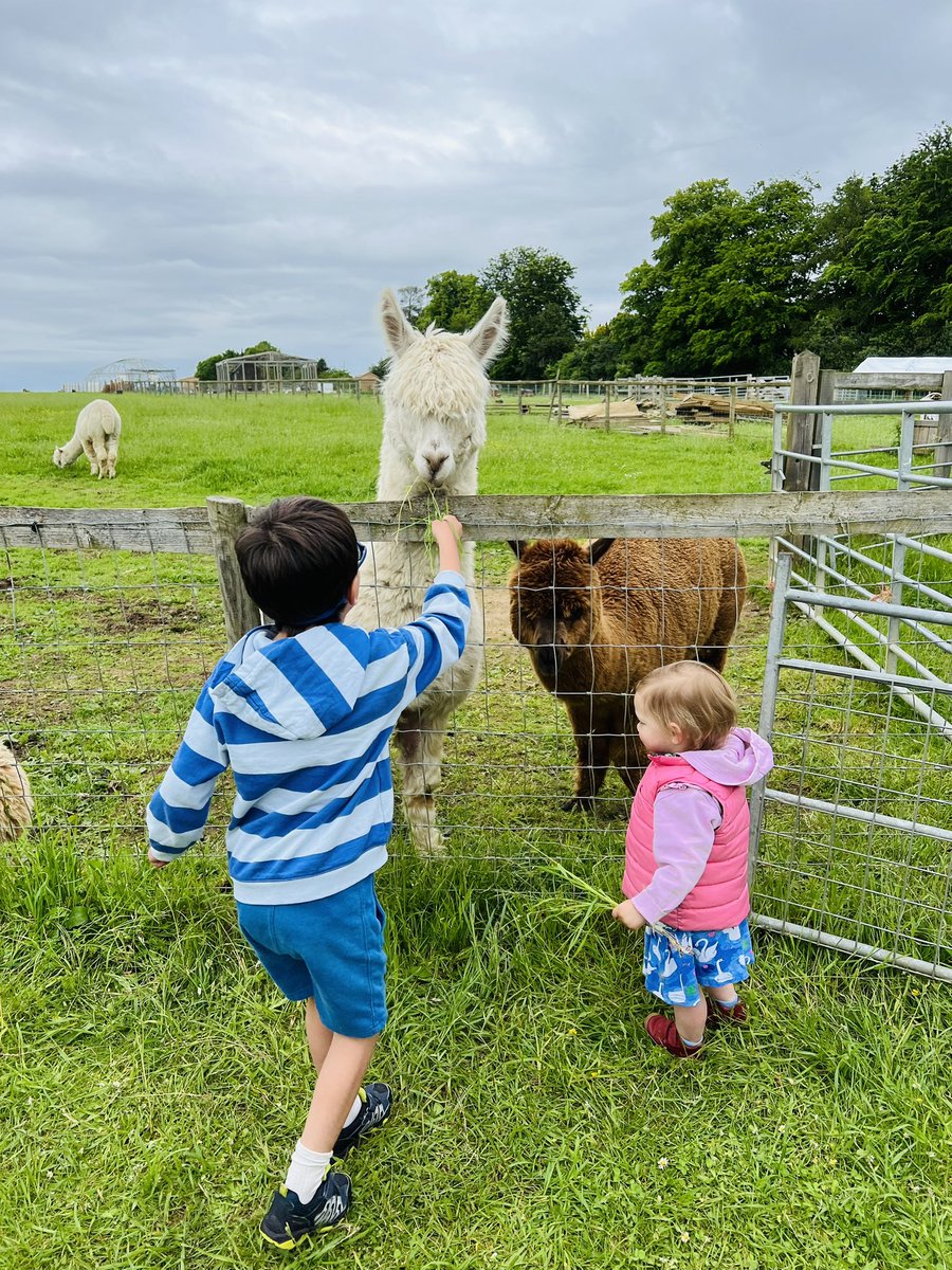 TulipMazumdar tweet media