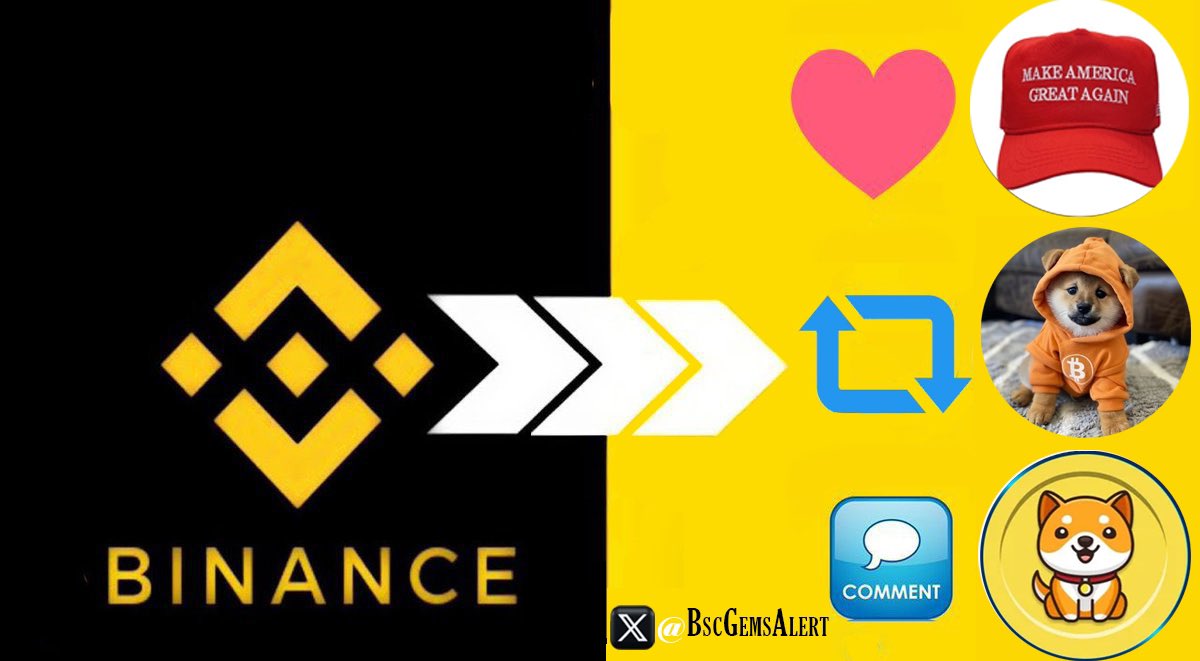 🚨BSC Gems Alert🚨 tweet media