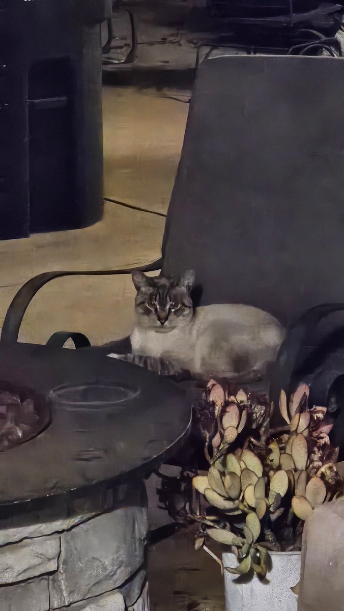 Content from elabunny