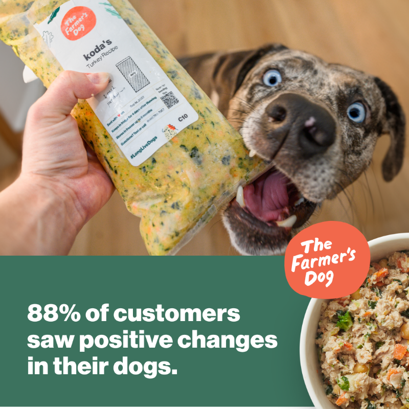 thefarmersdog's tweet photo. Feeding real, fresh food has real, healthy benefits for dogs. Get 50% off your first box and give your dog a fresh start.