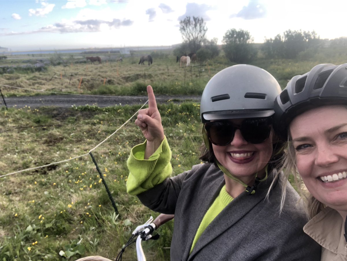 aðförinni er hér með lokið - hestarnir hafa tekið yfir í borginni og helstu “áhyggjur” borgarstarfsmanna í framtíðinni verður að tryggja öllum sinn skerf af áburðinum//skítnum/auðlindinni <a href="/eddaivars/">Edda Ivarsdottir</a> - ókeibæ