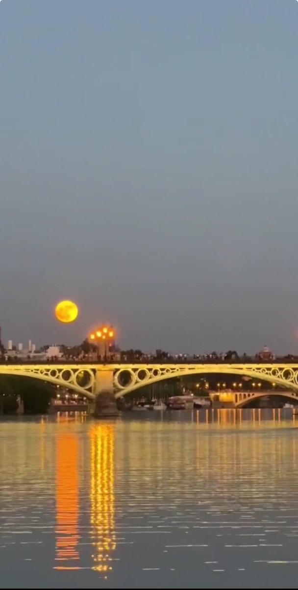 Mi eterna Sevilla ❤️