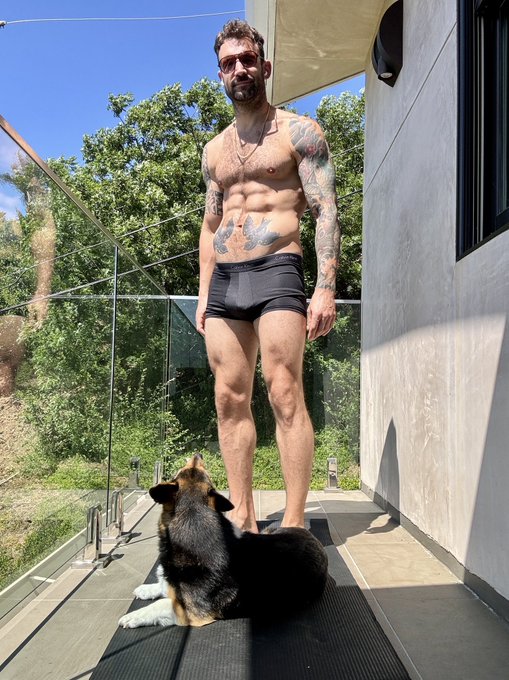 Morning routine: stretching with Gizmo and catching some sun 😎 🐻 come watch the full thing ➡️ https://t