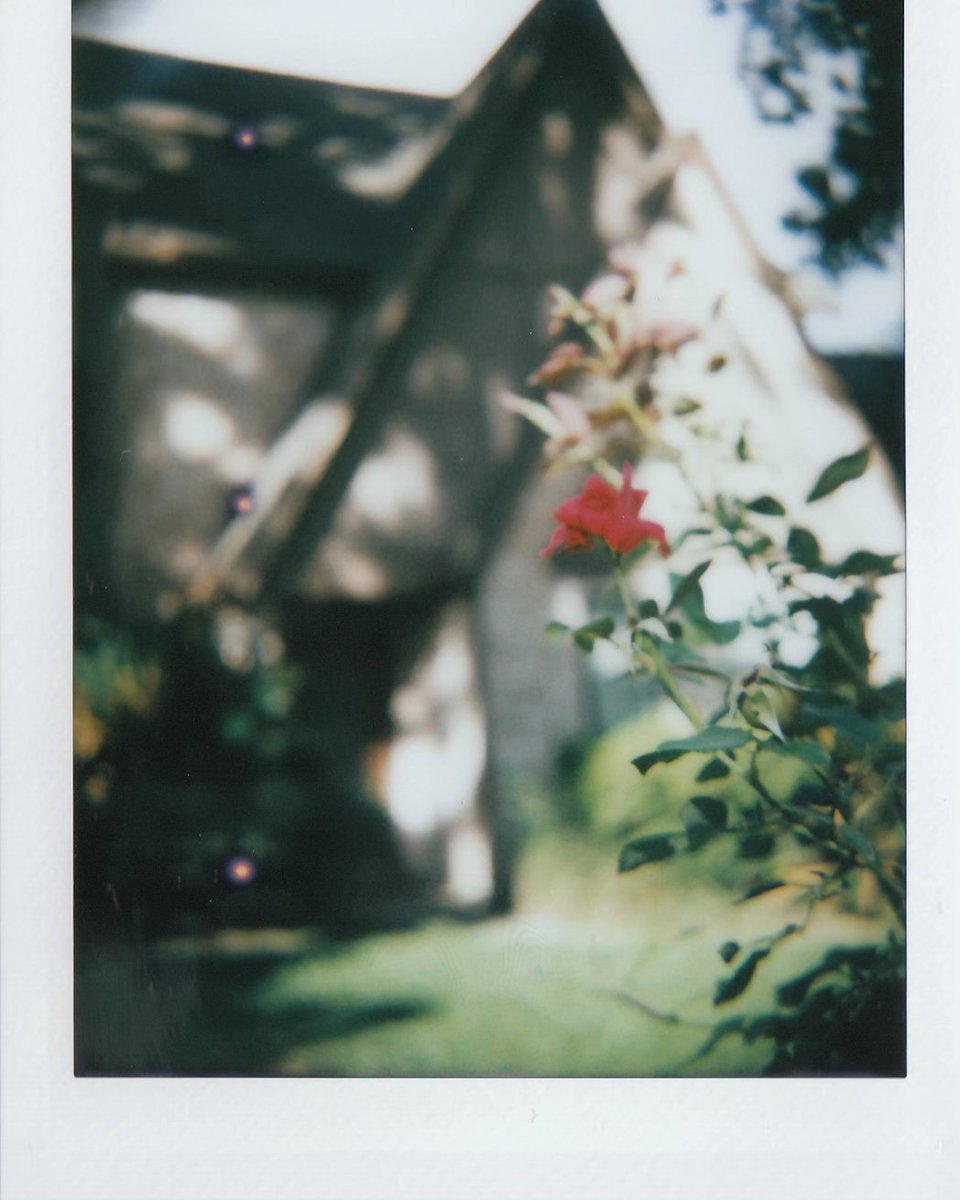 Gaige_404's tweet image. Shooting with the Rolleiflex Instant Kamera. What can can I say about this camera other than amazing. So fun to shoot with and the results you can get with it * chefs kiss*.

#instantphotography #mintcamera #instantcamera #instax #instaxmini #photography