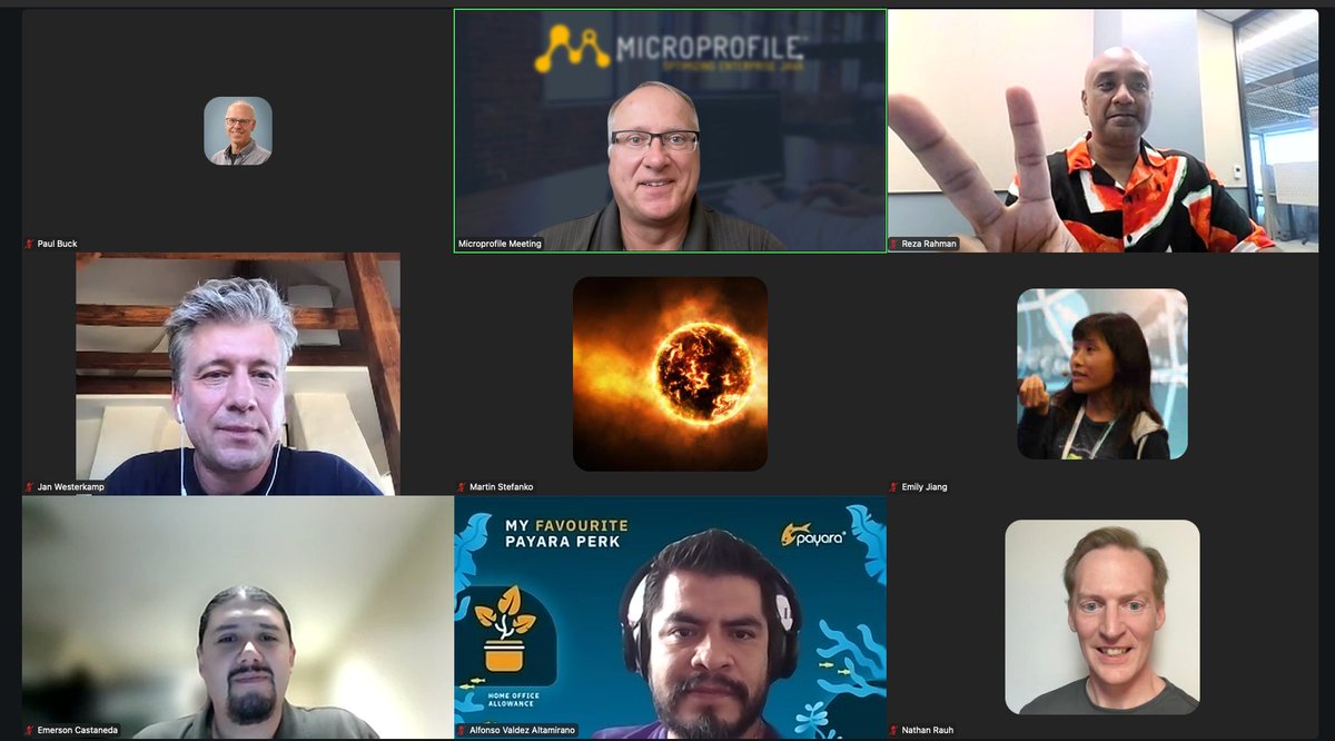 This week's MicroProfile Steering Committee crew.