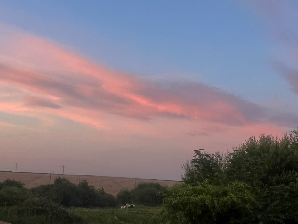 nishaparmar191's tweet photo. No sleep 😴 🤒😵‍💫 but the skies were beautiful early doors #hearwave #viralinfection https://t.co/1mokoUG2sf
