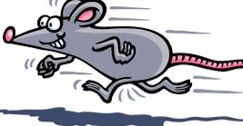 WWCachefest's tweet image. Watch Geocache Talk tonight at 7pm CDT for a CacheFest Vault Update!!

youtu.be/EML-JIXGoqE

#cachefest #geocaching #geocachetalk