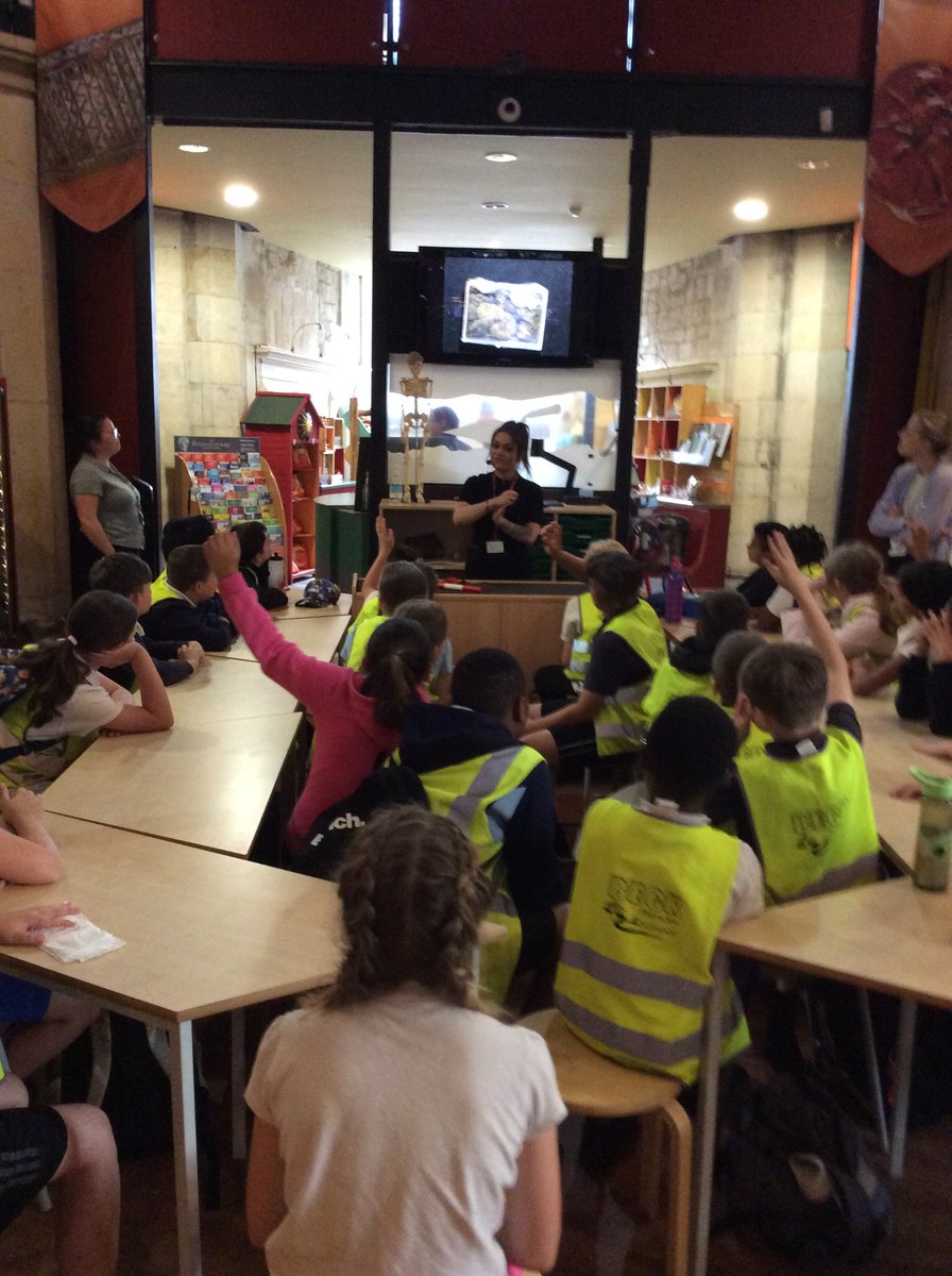 Year5Beck tweet media