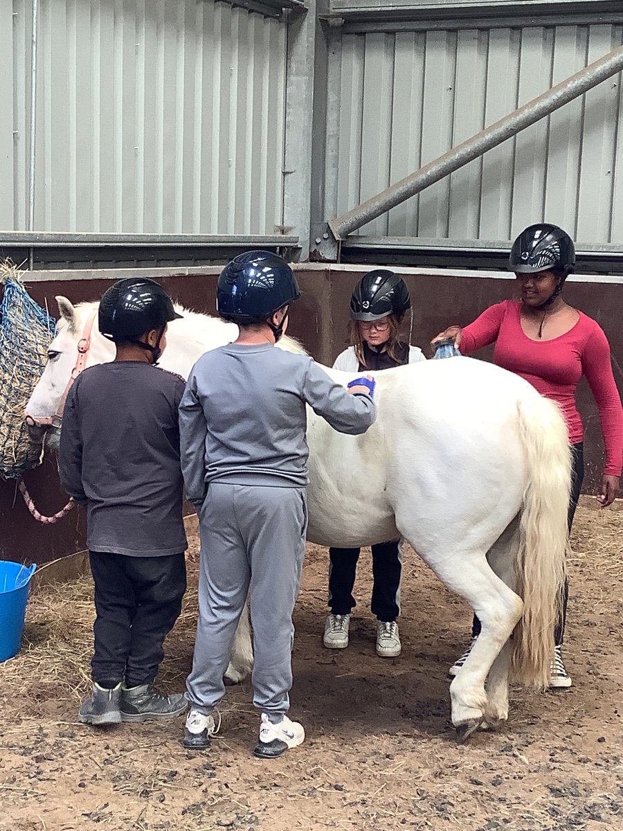 Ms Whitehead tweet media