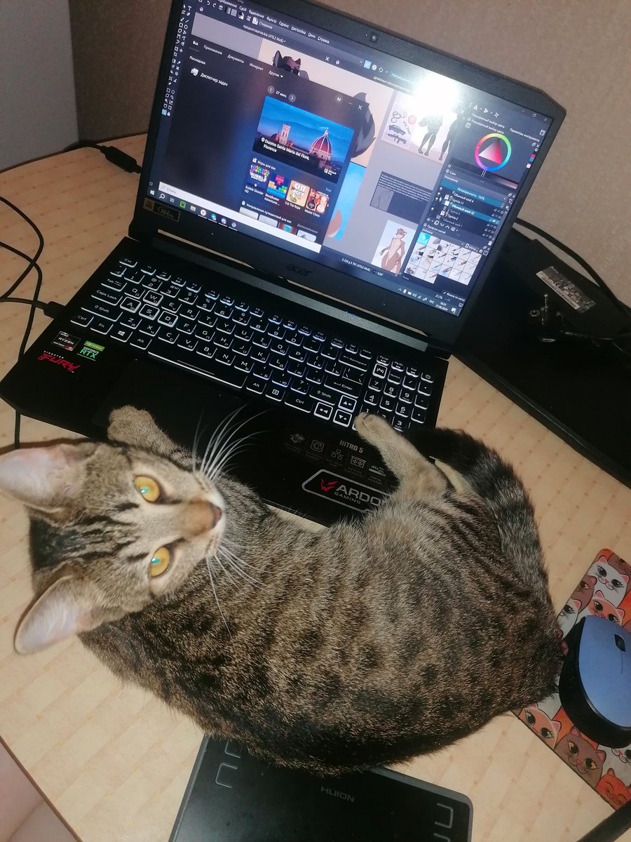 – Hey, stop painting, go get some rest