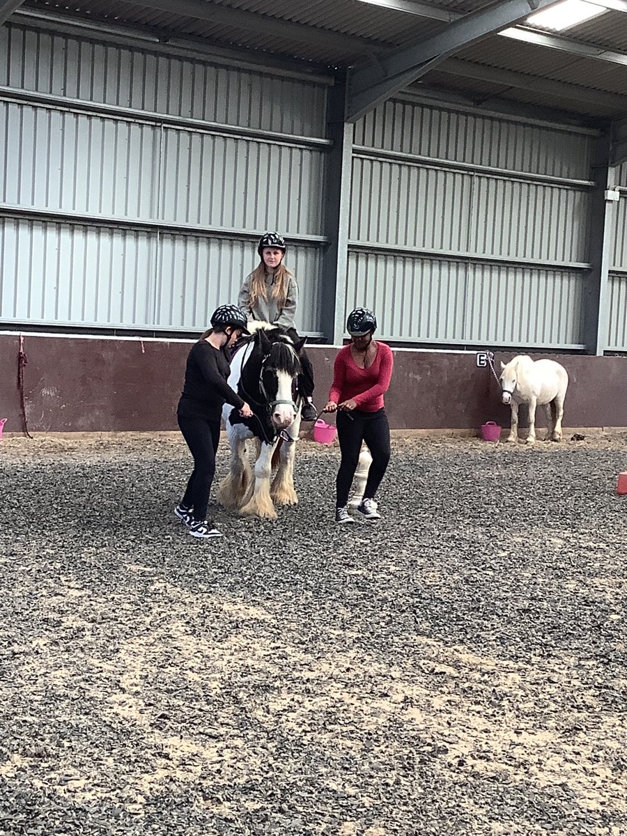 Ms Whitehead tweet media