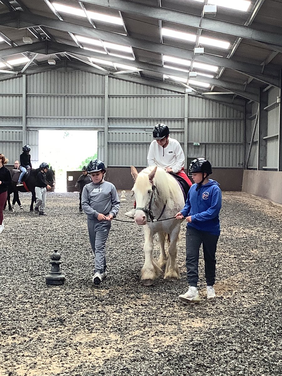 Ms Whitehead tweet media