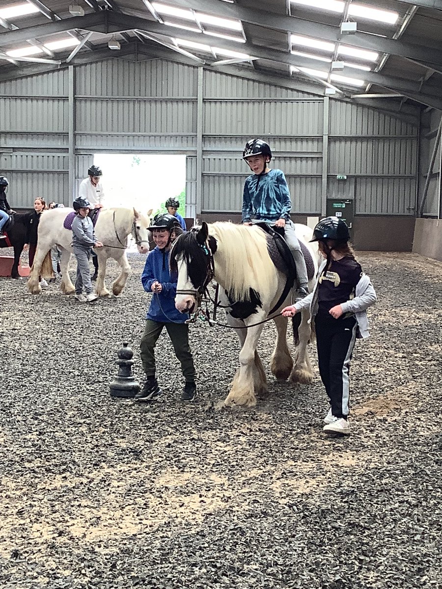 Ms Whitehead tweet media