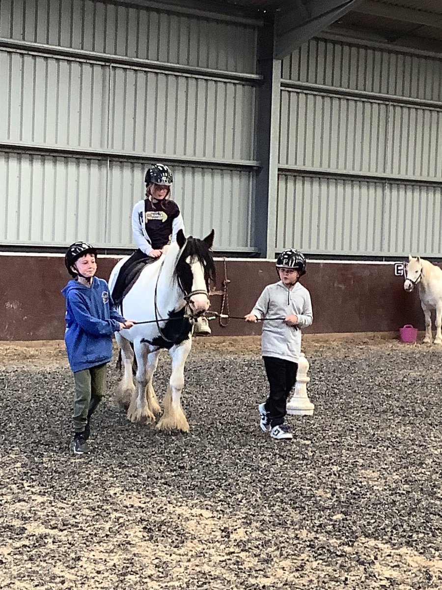 Ms Whitehead tweet media