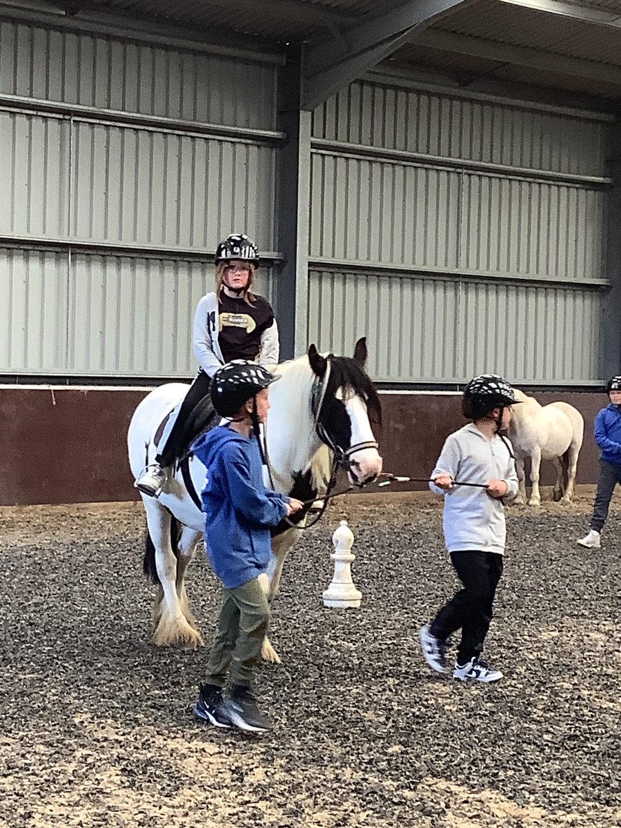 Ms Whitehead tweet media