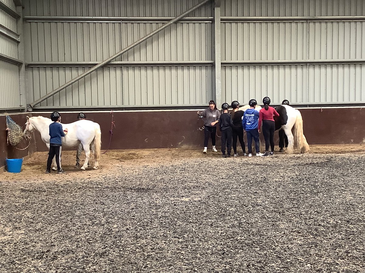 Ms Whitehead tweet media