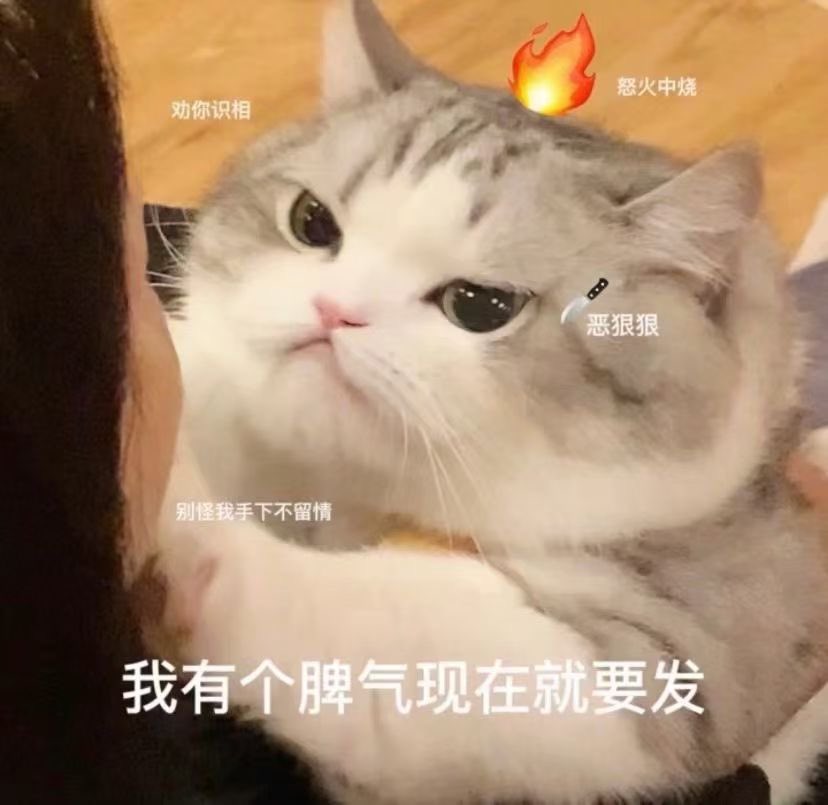 找一个一起互勉拍照的M