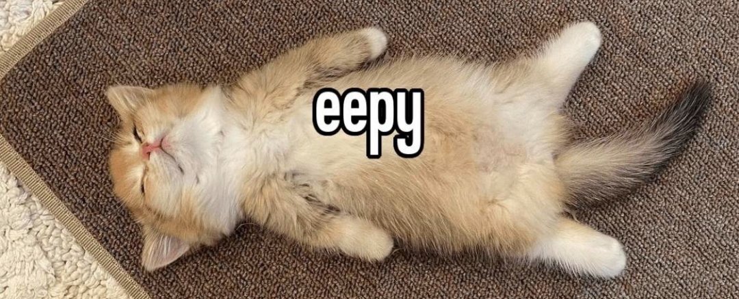 eepycat.io new on #solana #eepycat