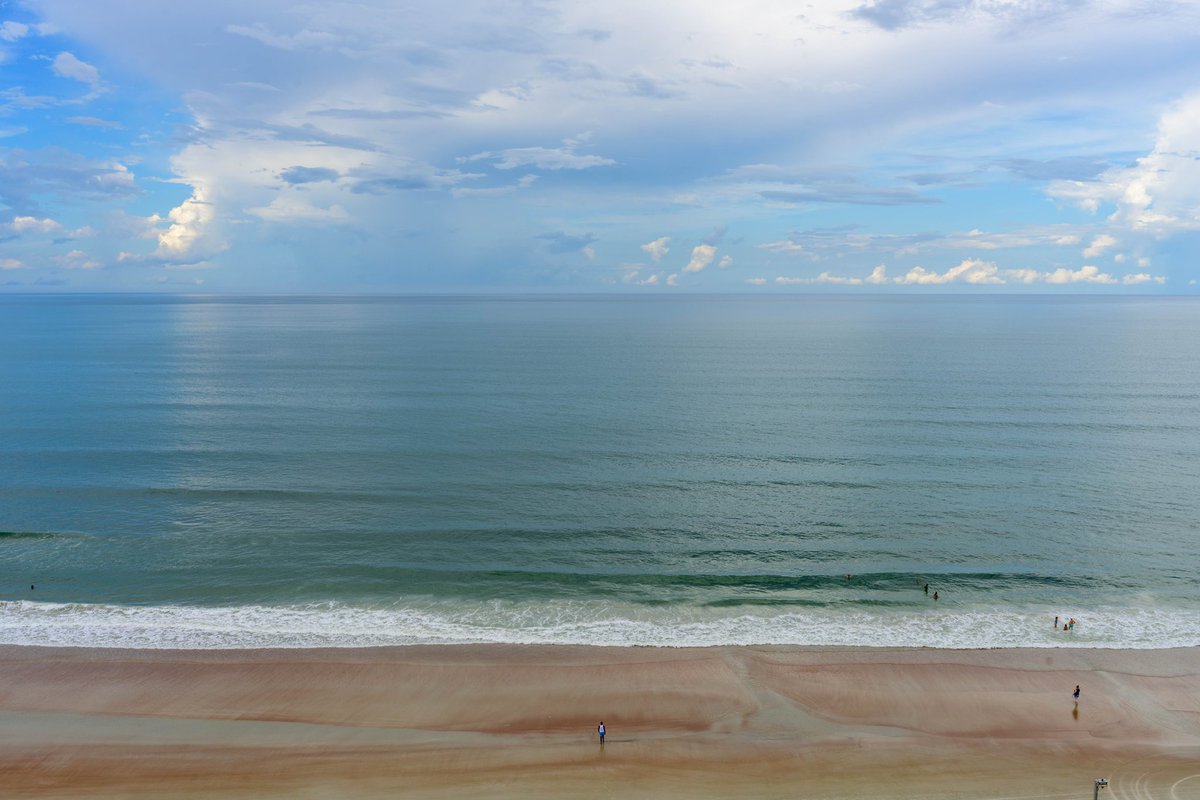 Frankie Lee Jr tweet media