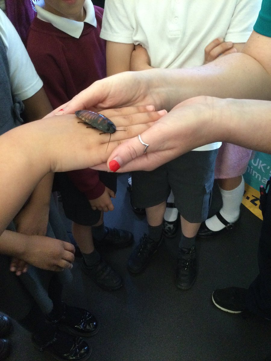 A fabulous day with the Enthuse Science Team, hosted by <a href="/stlcsdurham/">St Leonard's Catholic School Durham</a> <a href="/st_leonards_sci/">St. Leonard's Science</a> - well done all, looks amazing! 
#TeamScience 👏👏👏
#science
#experiments
#teamwork 

<a href="/bwcet/">Bishop Wilkinson Catholic Education Trust</a> 
<a href="/CardinalHumeCS/">Cardinal Hume Catholic School</a>