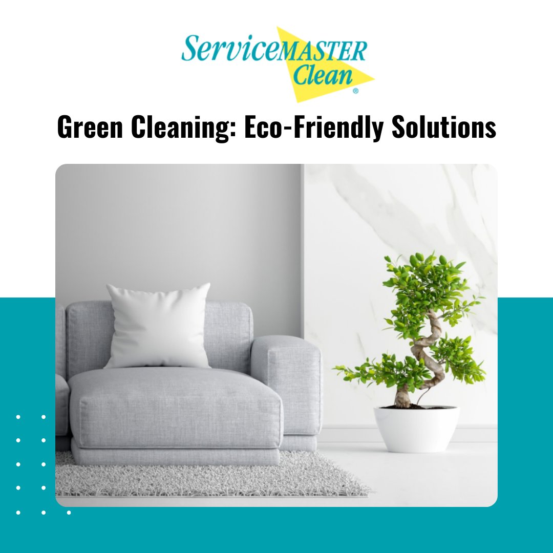 ServiceMasterTO's tweet image. Green Cleaning: Eco-Friendly Solutions

Visit servicemasteroakville.com/pages/services to learn more about eco-friendly cleaning solutions.

#HomeCleaningServices #CarpetCleaning #UpholsteryCleaning #PostConstructionCleaning #Cleanup #ResidentialCleaning #Dusting