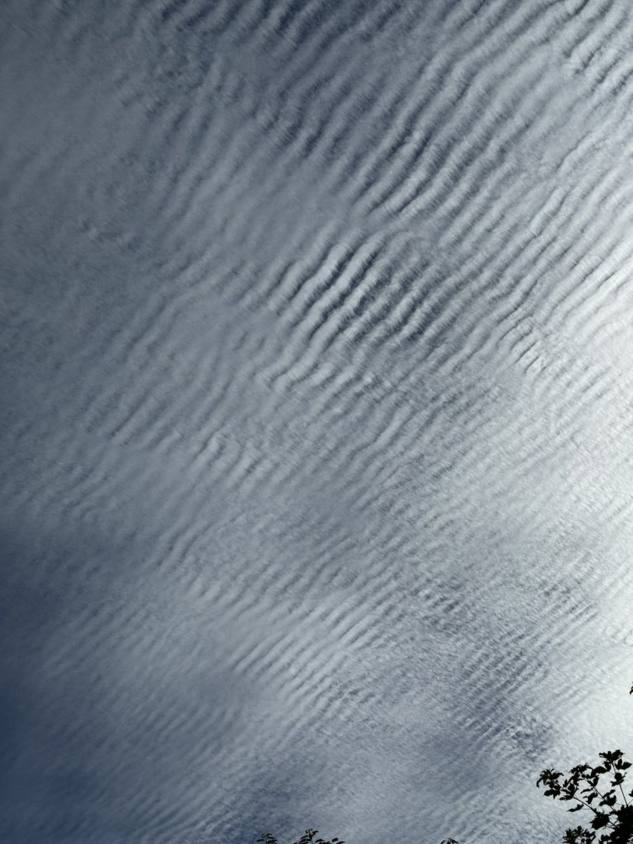 princessdisney3's tweet photo. What amazing clouds today @BBCSouthNews @BBCSouthWeather
@itvmeridian @AlexisGreenTV @HollyJGreen https://t.co/QjuXbj9NI9